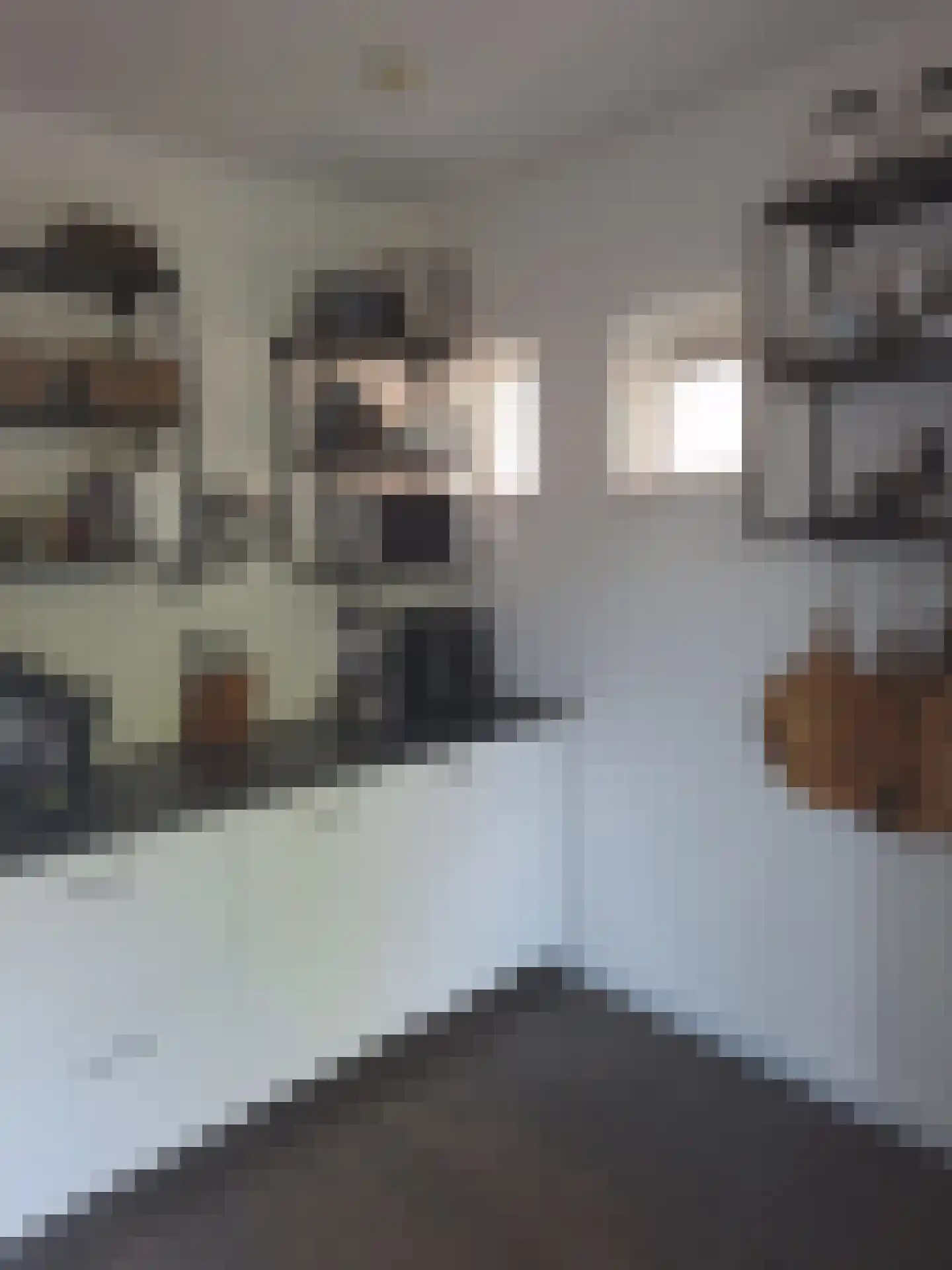 Spoorstraat 27 Hooge Zwaluwe thumbnail 18