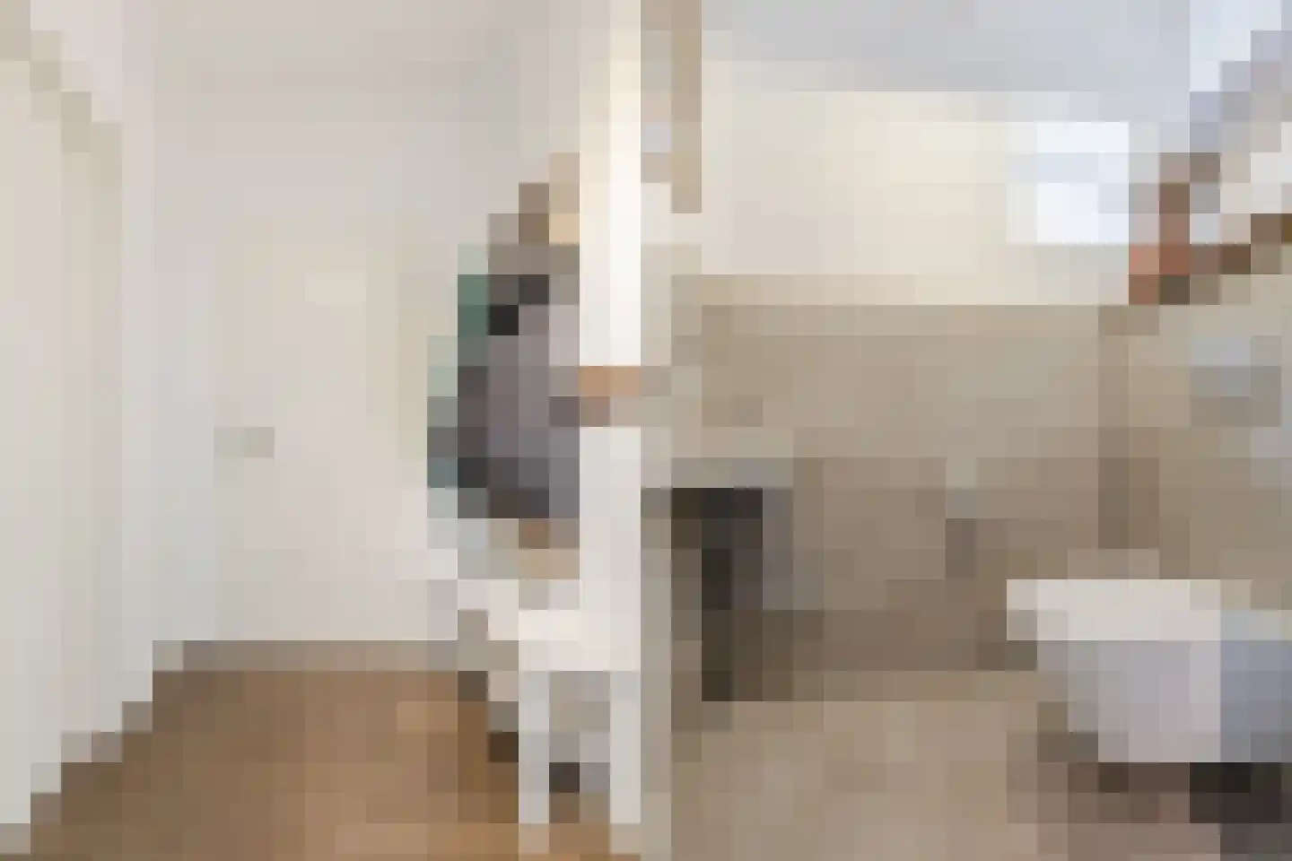 Spoorstraat 27 Hooge Zwaluwe thumbnail 19