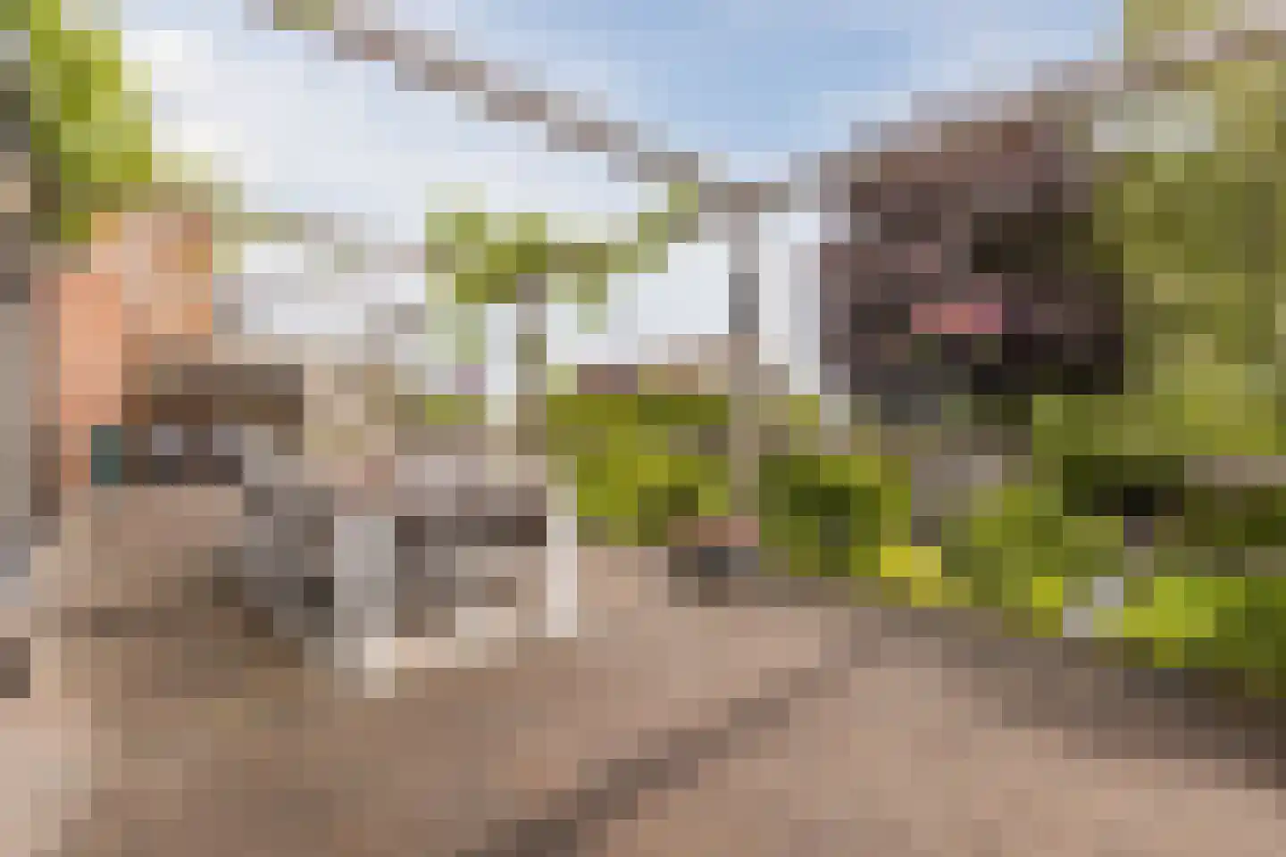 Spoorstraat 27 Hooge Zwaluwe thumbnail 30