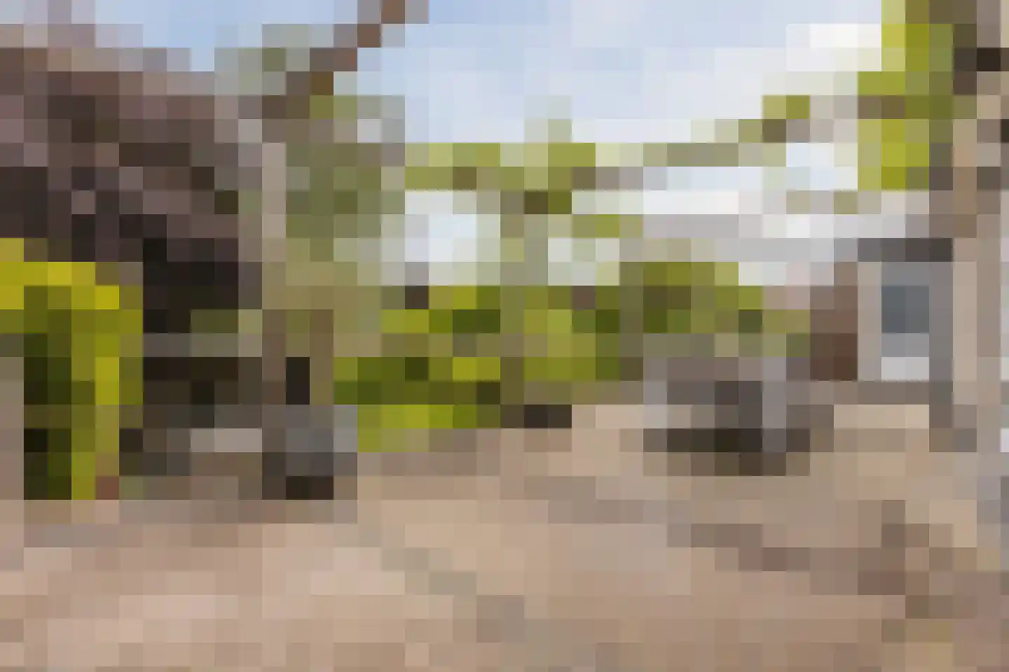 Spoorstraat 27 Hooge Zwaluwe thumbnail 31