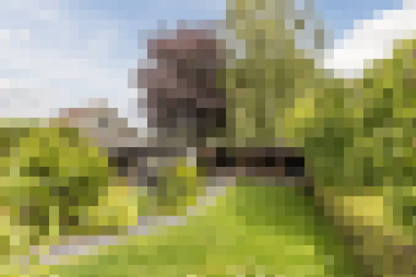 Spoorstraat 27 Hooge Zwaluwe thumbnail 34