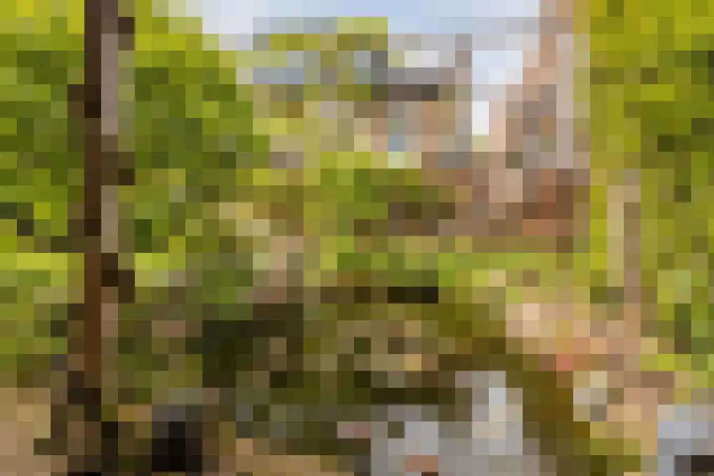 Spoorstraat 27 Hooge Zwaluwe thumbnail 36