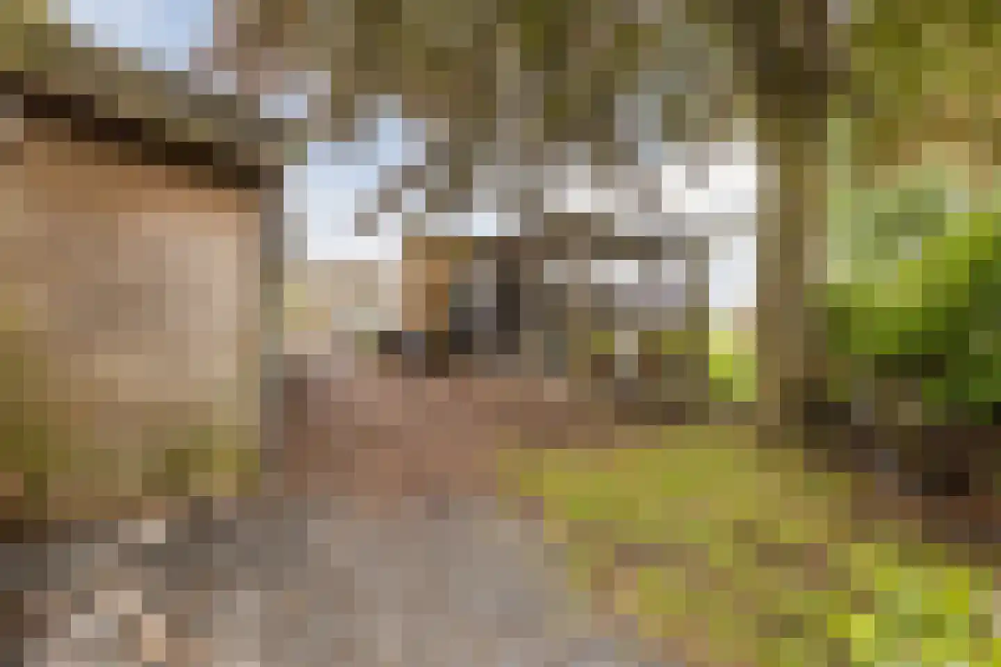 Spoorstraat 27 Hooge Zwaluwe thumbnail 39