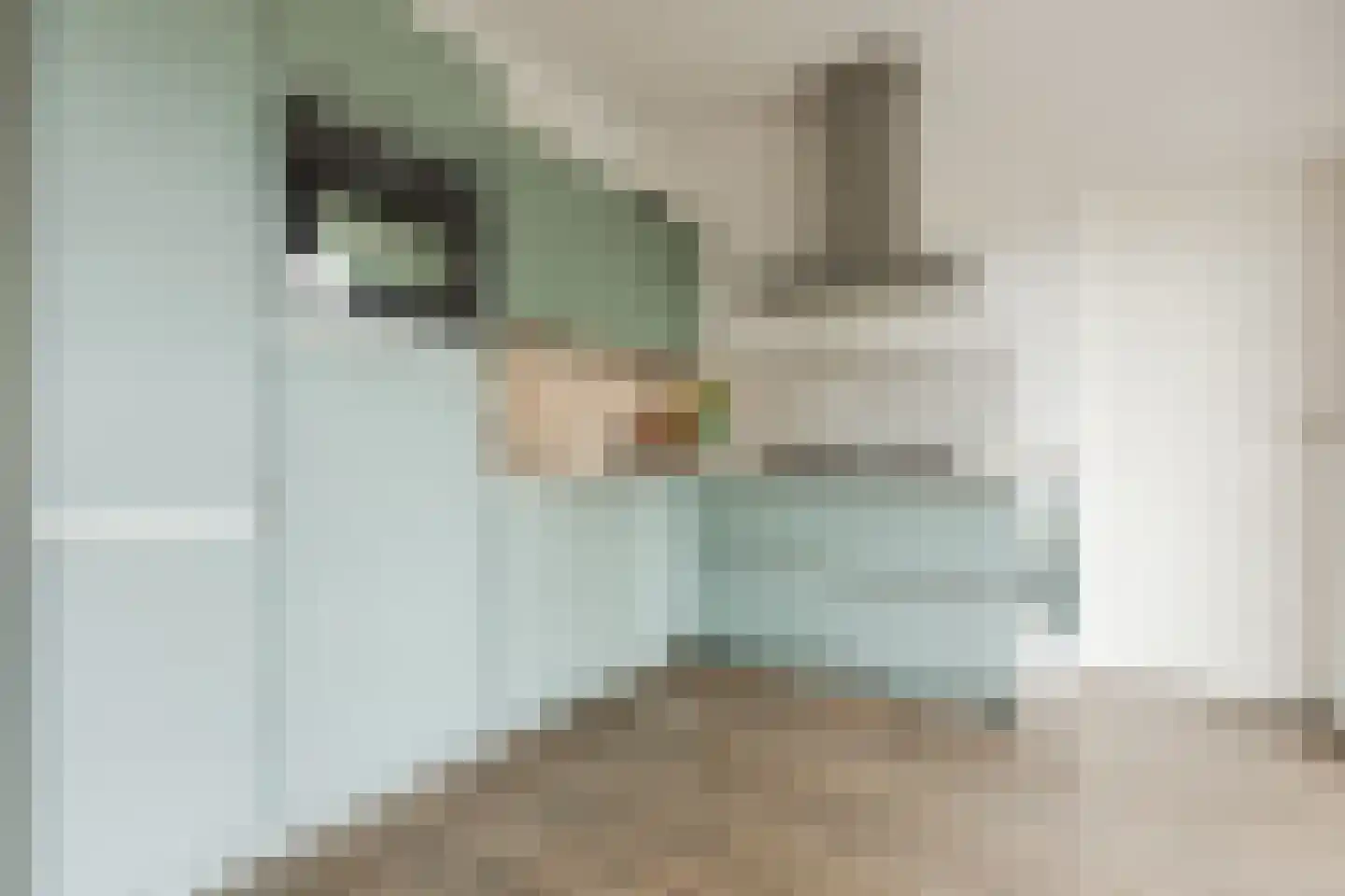 Spoorstraat 27 Hooge Zwaluwe thumbnail 4