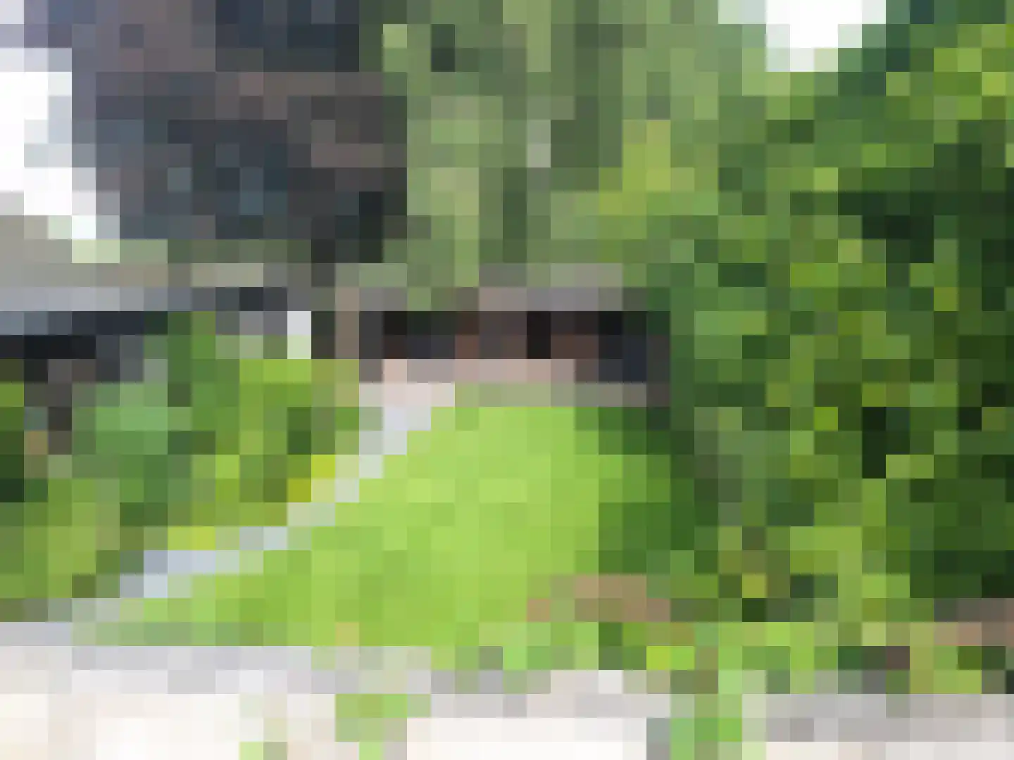 Spoorstraat 27 Hooge Zwaluwe thumbnail 4
