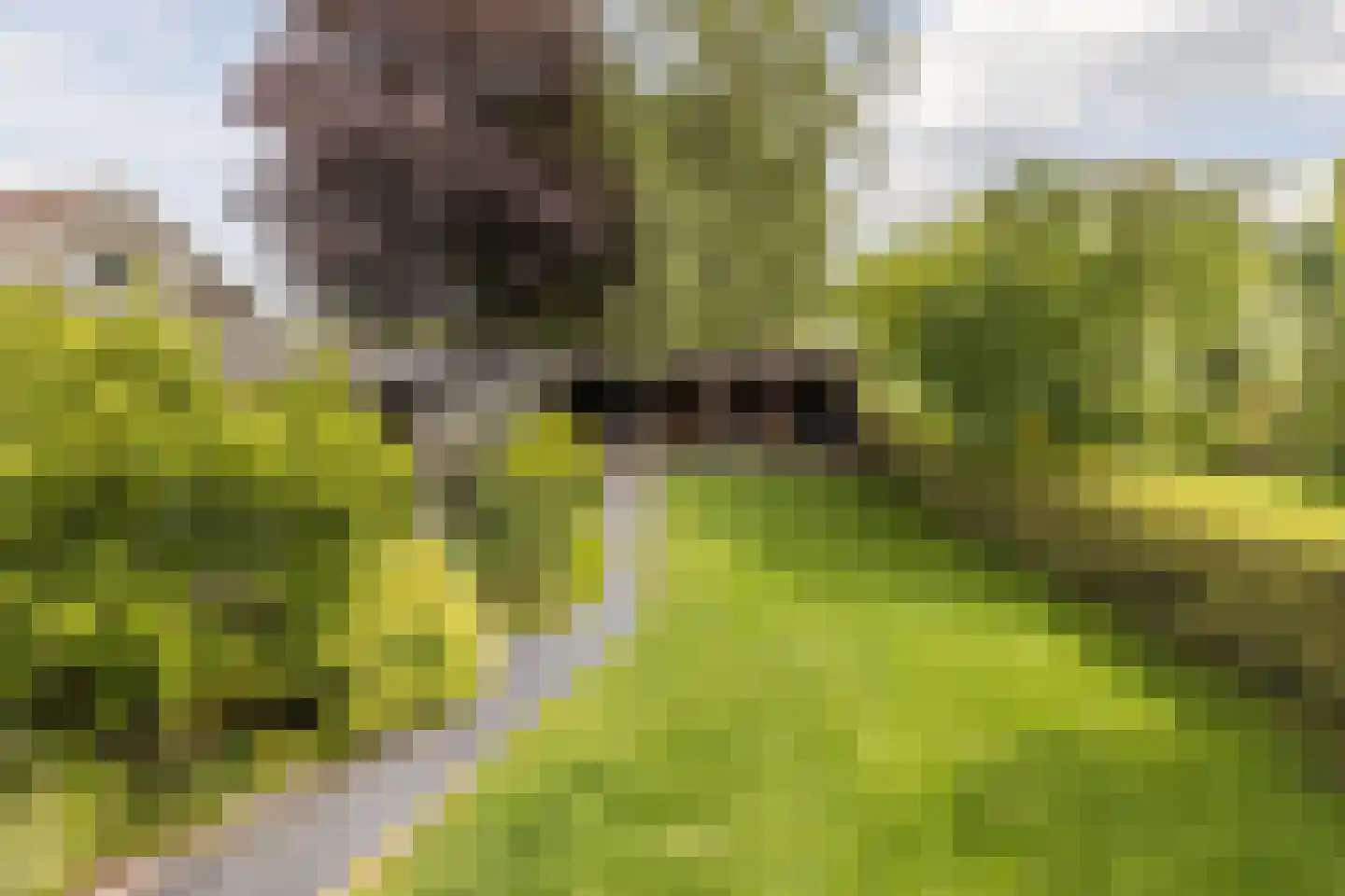 Spoorstraat 27 Hooge Zwaluwe thumbnail 5