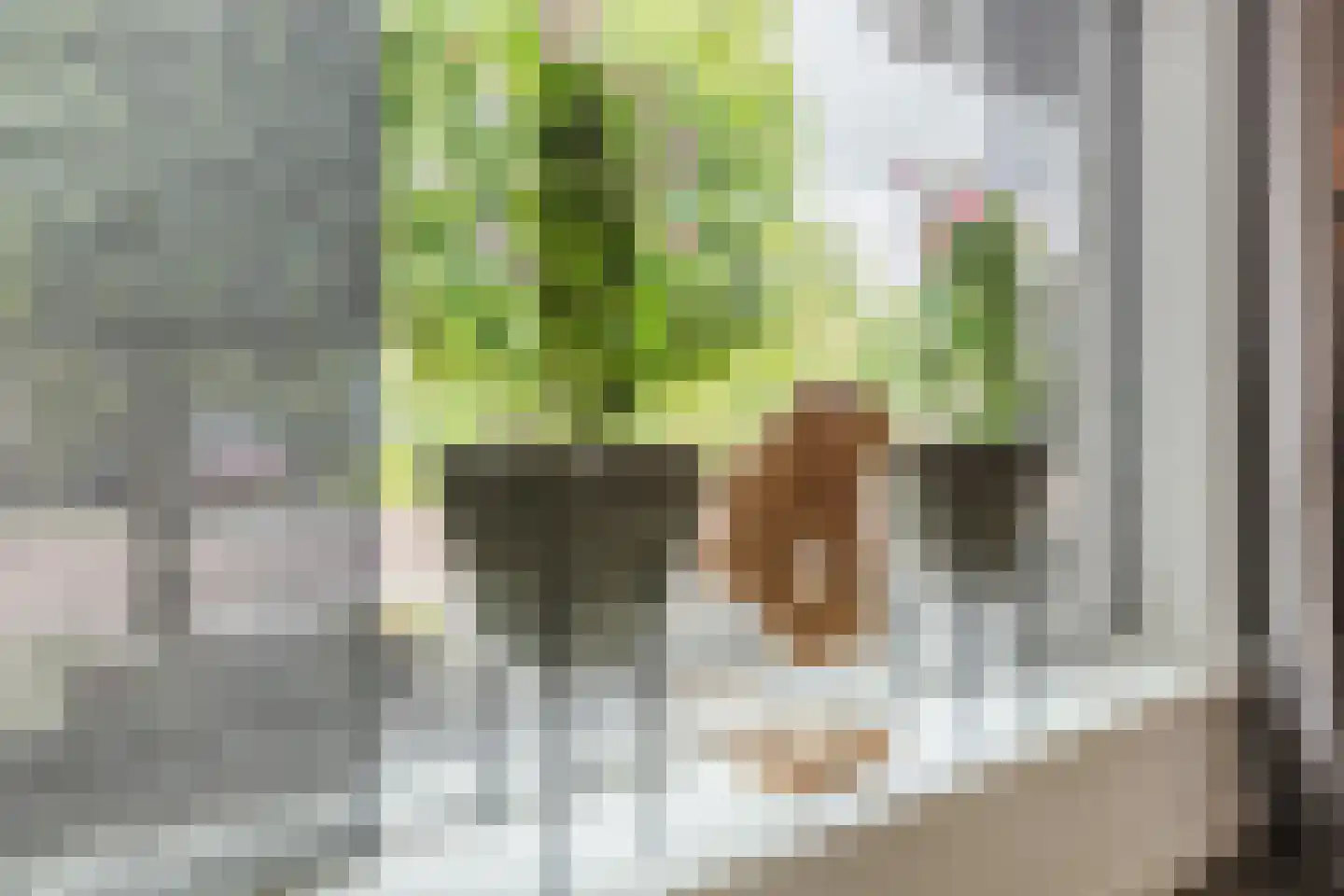 Spoorstraat 27 Hooge Zwaluwe thumbnail 8