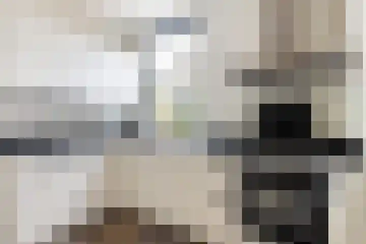 Spoorstraat 27 Lunteren thumbnail 11