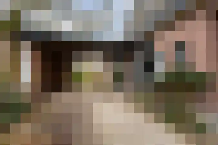 Spoorstraat 27 Lunteren thumbnail 38