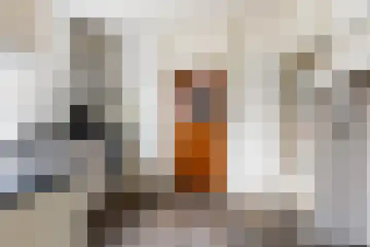 Spoorstraat 27 Lunteren thumbnail 9