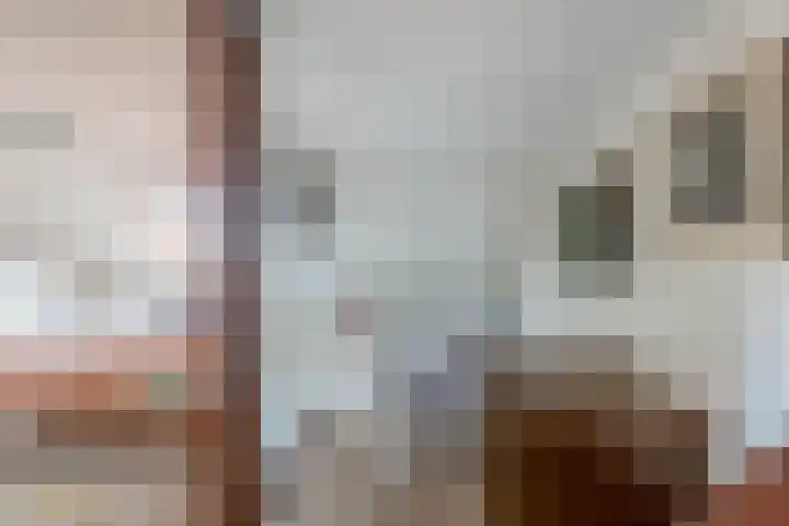 Spoorstraat 27 Tegelen thumbnail 23