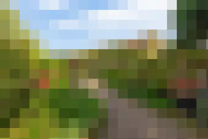 Spoorstraat 27 Tegelen thumbnail 27