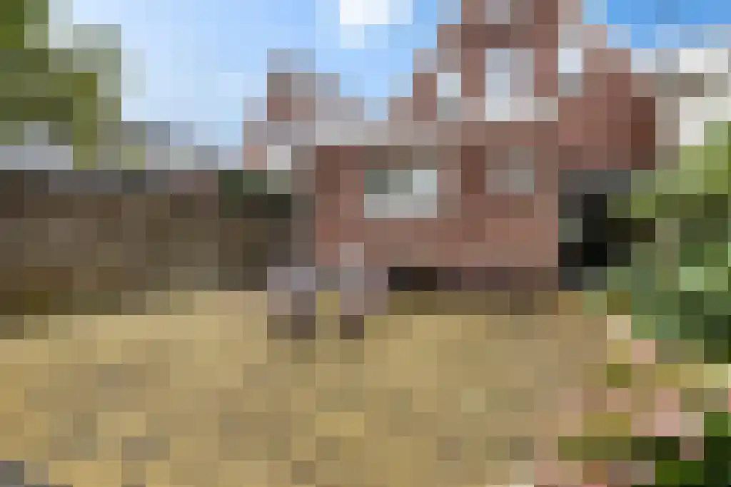 Spoorstraat 28 Zuidbroek thumbnail 20