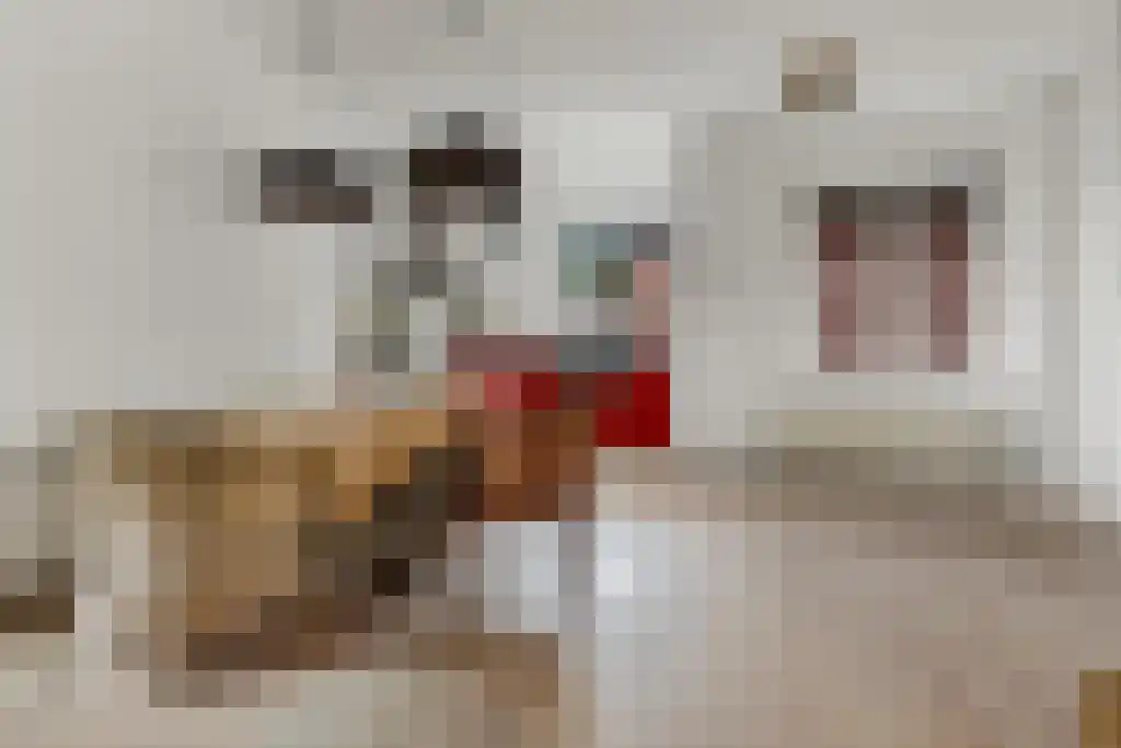 Spoorstraat 28 Zuidbroek thumbnail 31