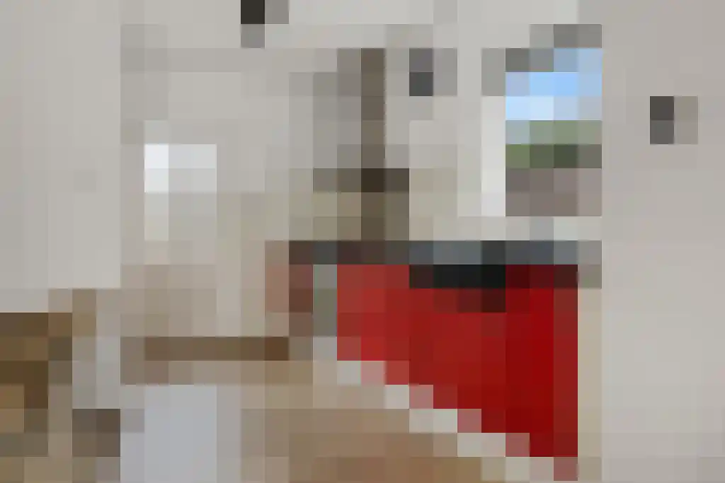 Spoorstraat 28 Zuidbroek thumbnail 33