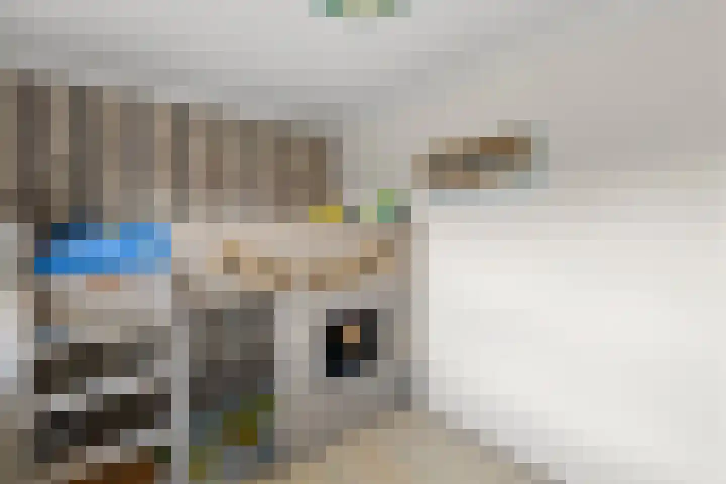 Spoorstraat 29 Zegge thumbnail 33