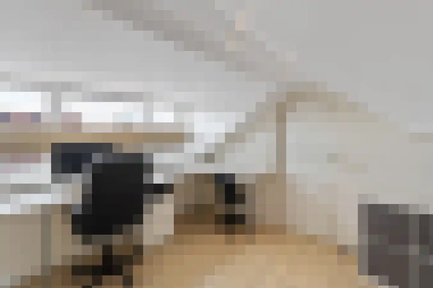 Spoorstraat 29 Zegge thumbnail 39