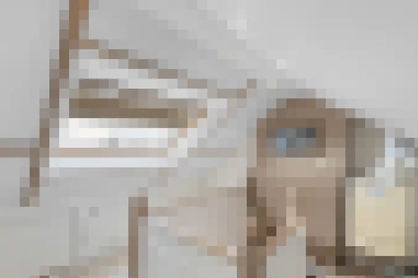Spoorstraat 29 Zegge thumbnail 40