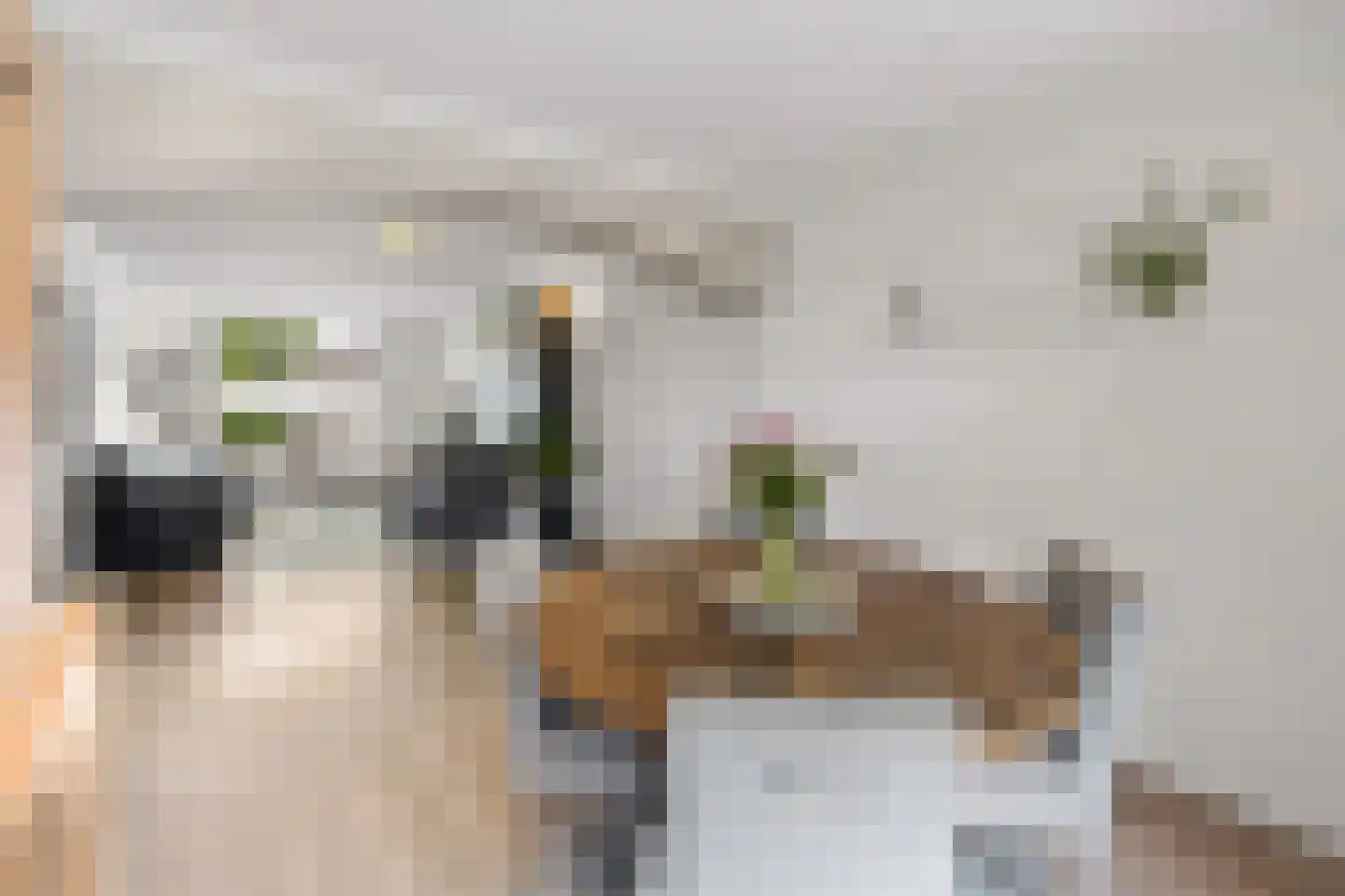 Spoorstraat 29 Zegge thumbnail 9