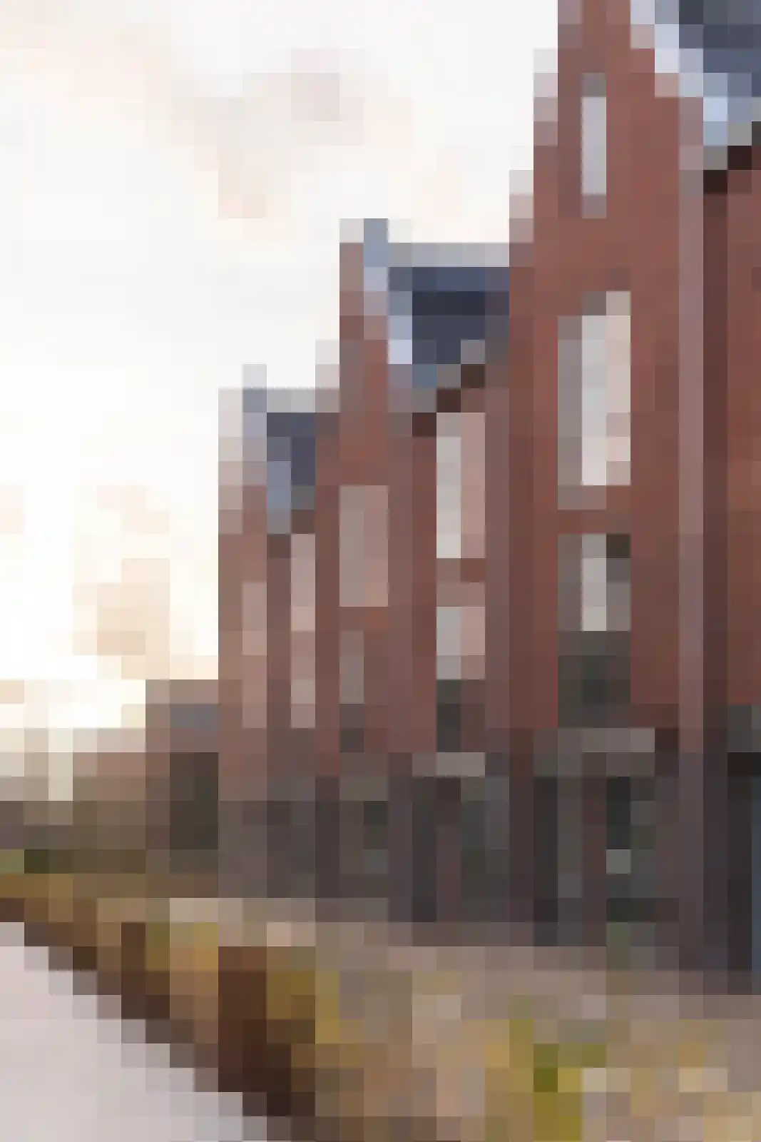 Spoorstraat 3 a Schoonhoven thumbnail 16