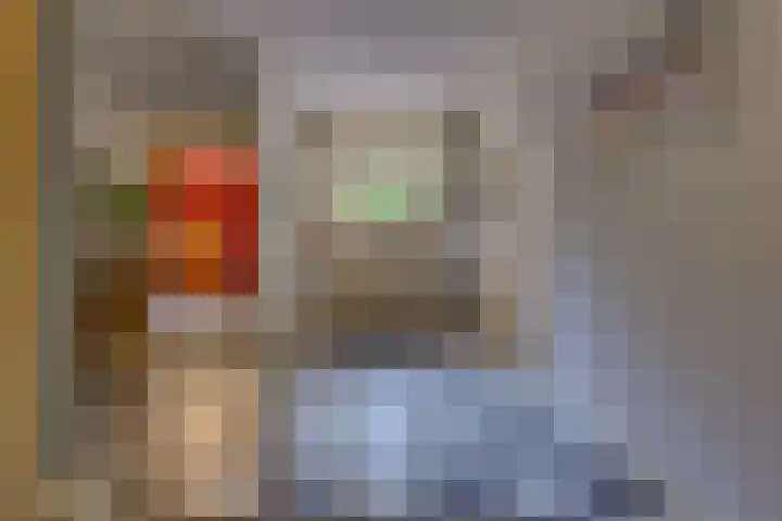 Spoorstraat 3 Bronneger thumbnail 17