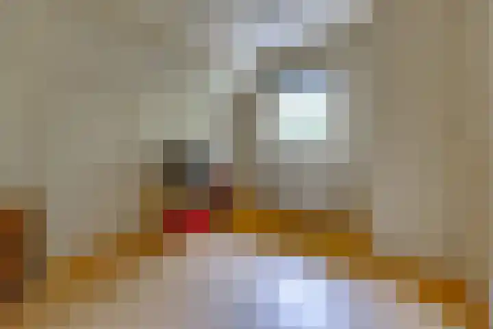 Spoorstraat 3 Bronneger thumbnail 19