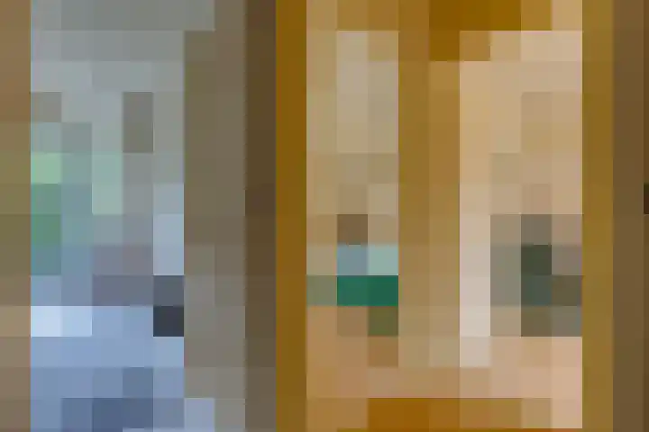 Spoorstraat 3 Bronneger thumbnail 21