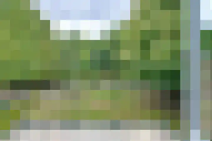 Spoorstraat 3 Bronneger thumbnail 23