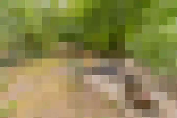 Spoorstraat 3 Bronneger thumbnail 28