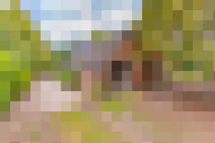 Spoorstraat 3 Bronneger thumbnail 30