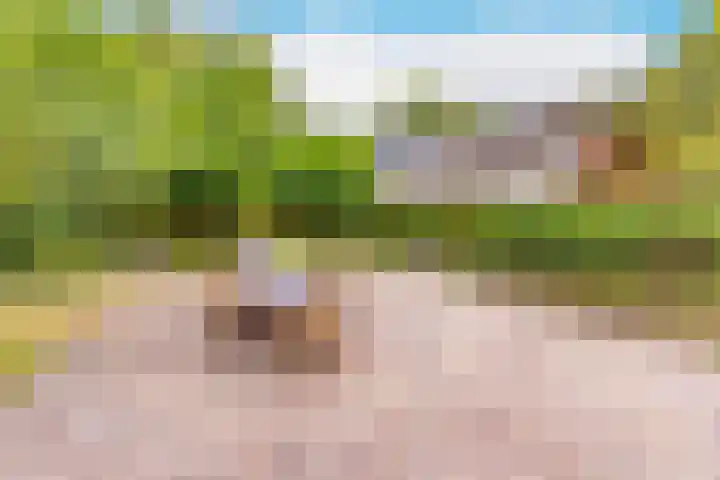 Spoorstraat 3 Bronneger thumbnail 34