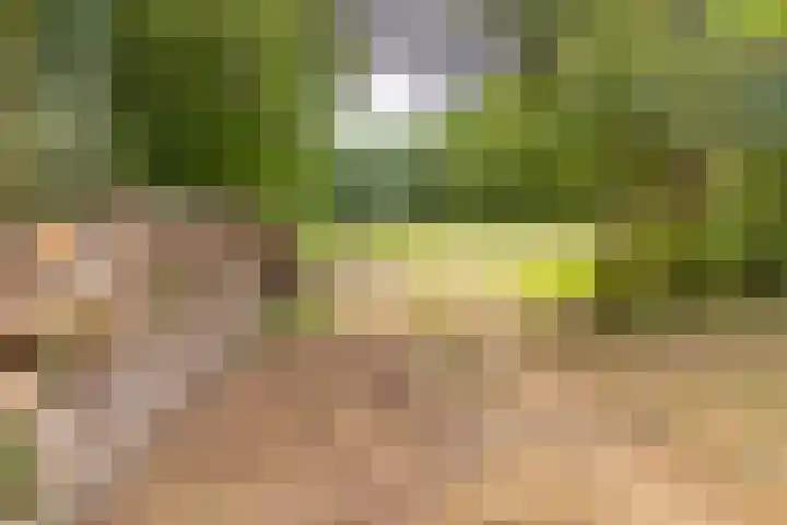 Spoorstraat 3 Bronneger thumbnail 35
