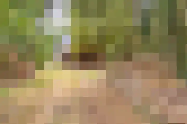 Spoorstraat 3 Bronneger thumbnail 37