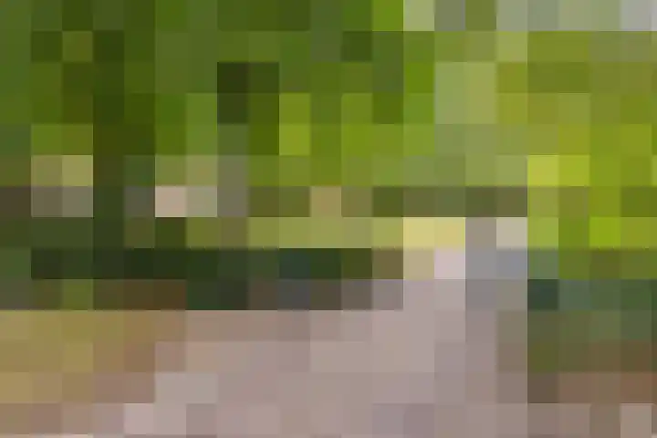 Spoorstraat 3 Bronneger thumbnail 38