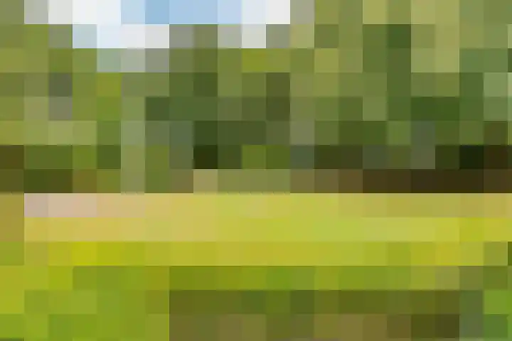 Spoorstraat 3 Bronneger thumbnail 6