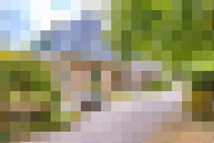 Spoorstraat 3 Bronneger thumbnail 7