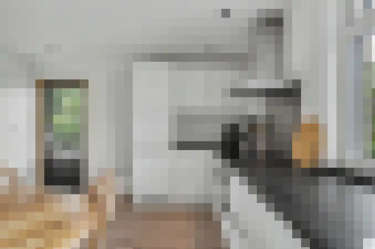 Spoorstraat 30 Hooge Zwaluwe thumbnail 13