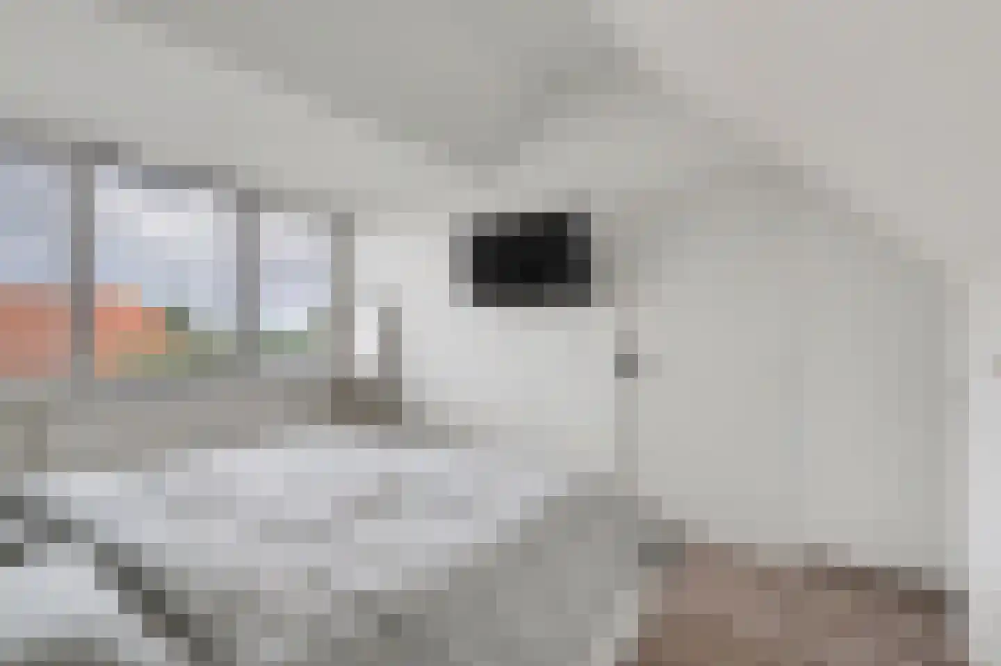 Spoorstraat 30 Hooge Zwaluwe thumbnail 19