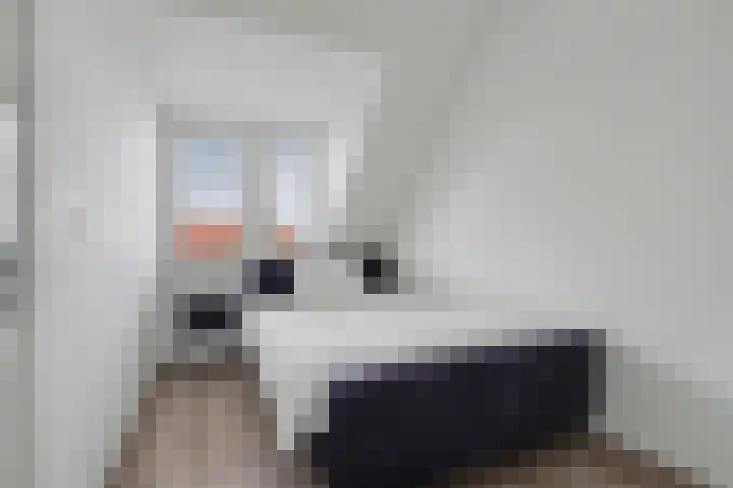 Spoorstraat 30 Hooge Zwaluwe thumbnail 20
