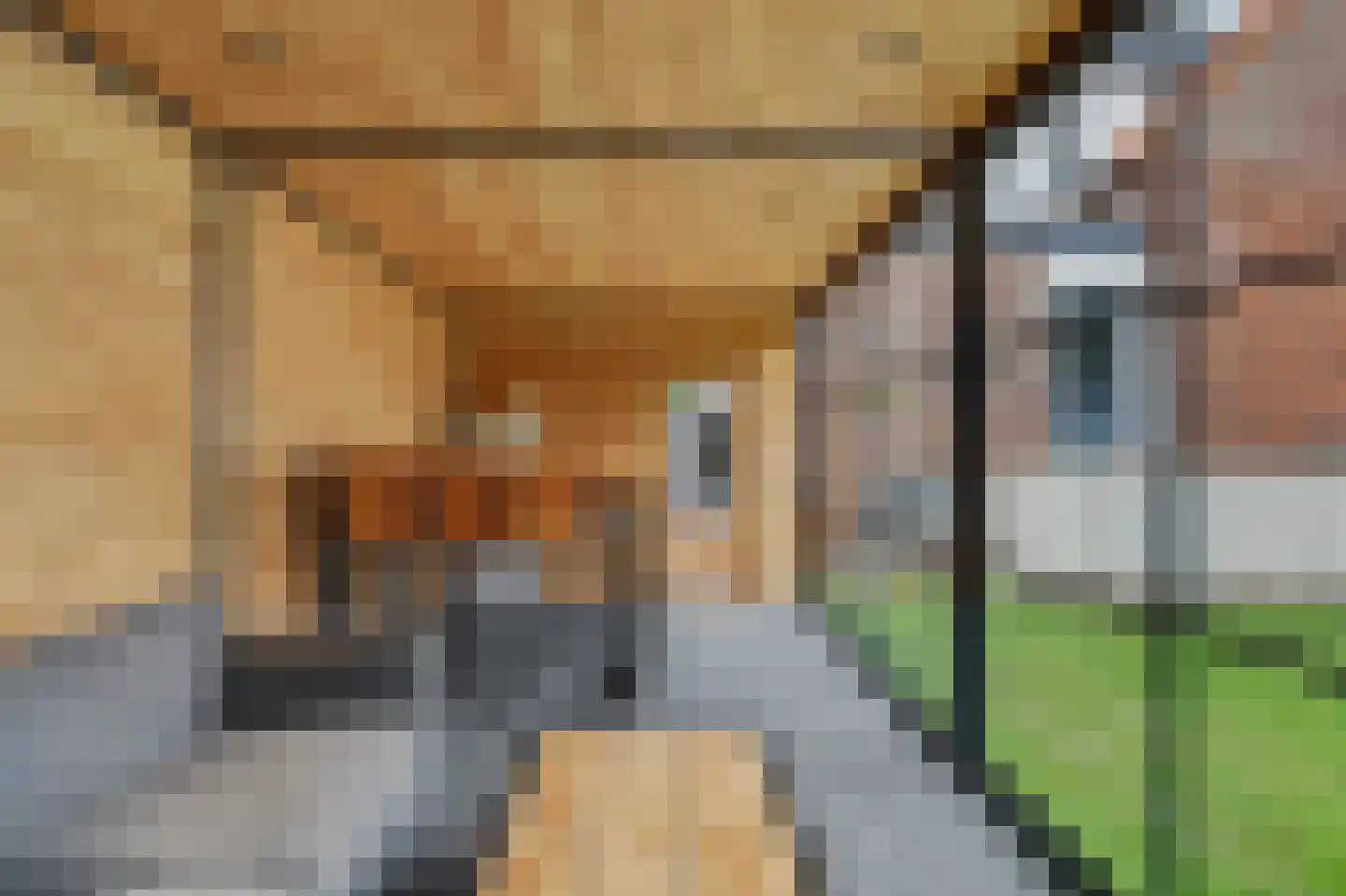 Spoorstraat 30 Hooge Zwaluwe thumbnail 30