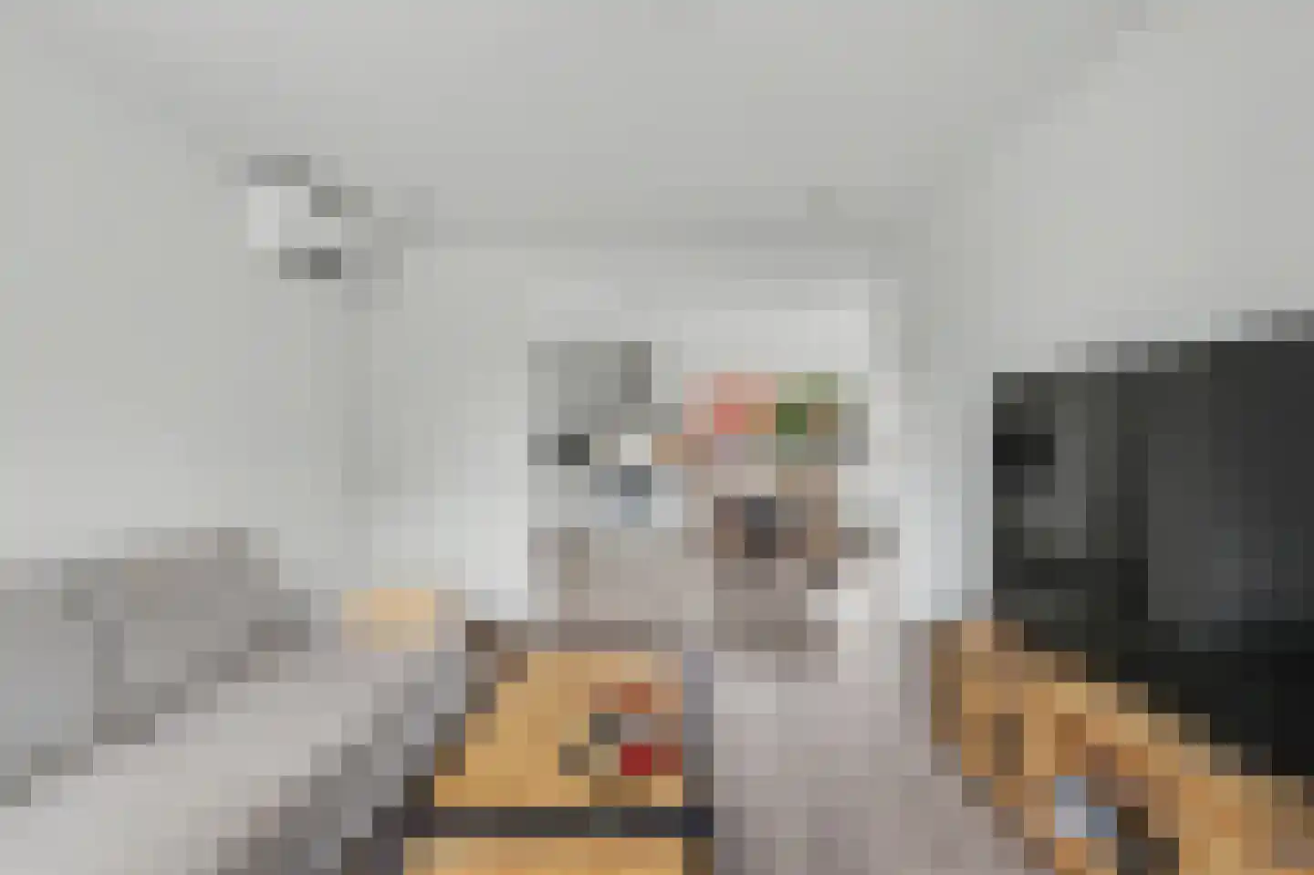 Spoorstraat 30 Hooge Zwaluwe thumbnail 4