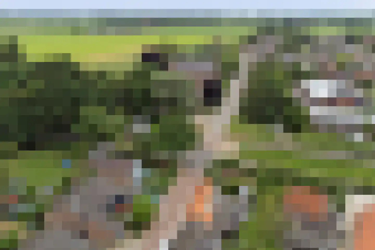 Spoorstraat 30 Hooge Zwaluwe thumbnail 48