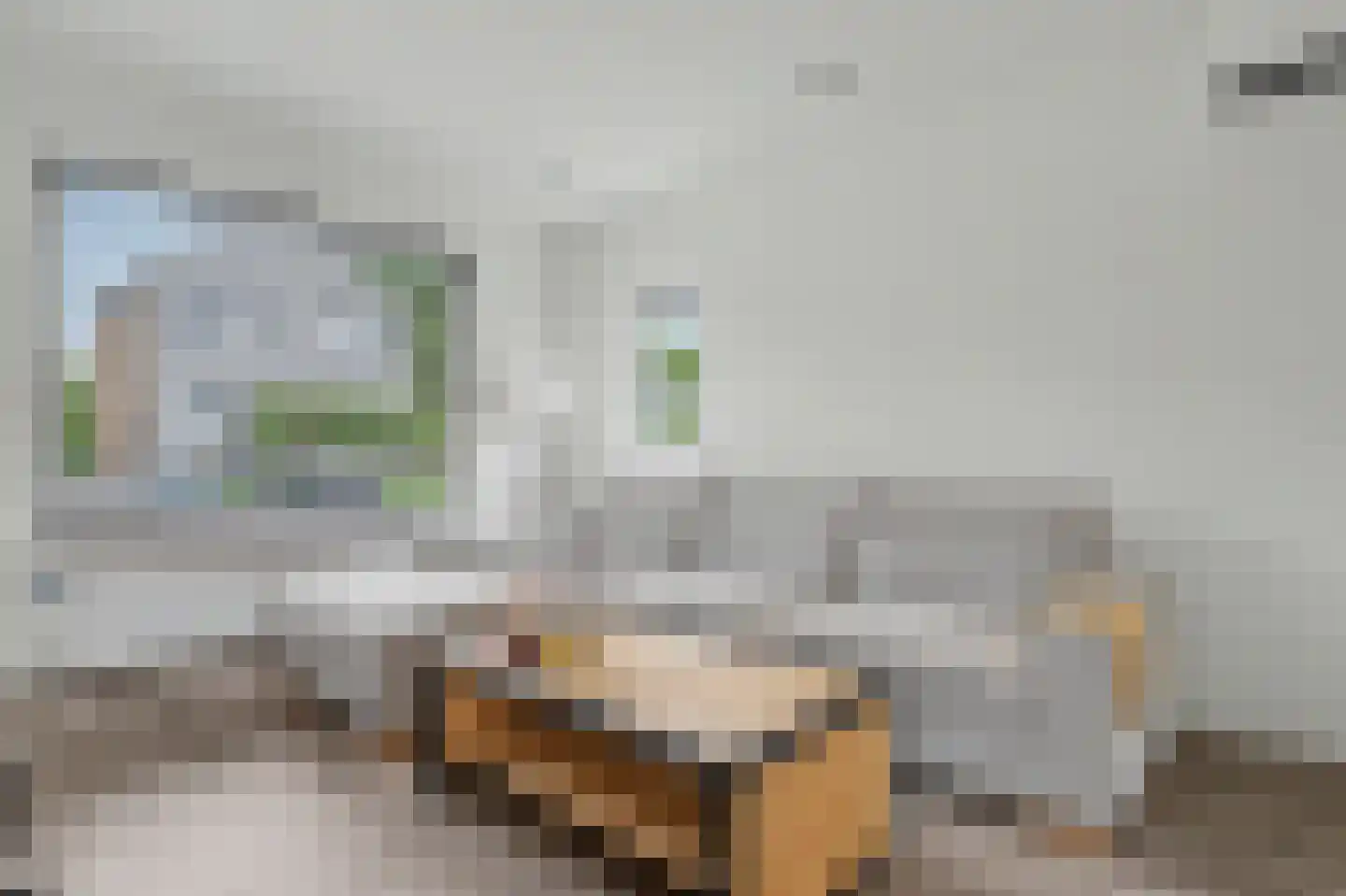 Spoorstraat 30 Hooge Zwaluwe thumbnail 5
