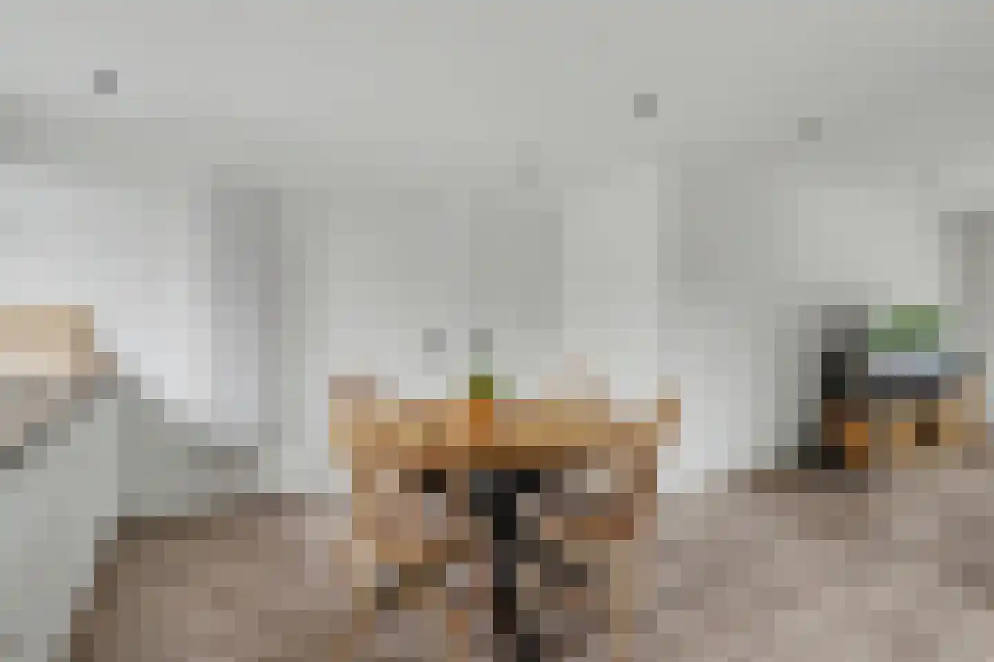 Spoorstraat 30 Hooge Zwaluwe thumbnail 8