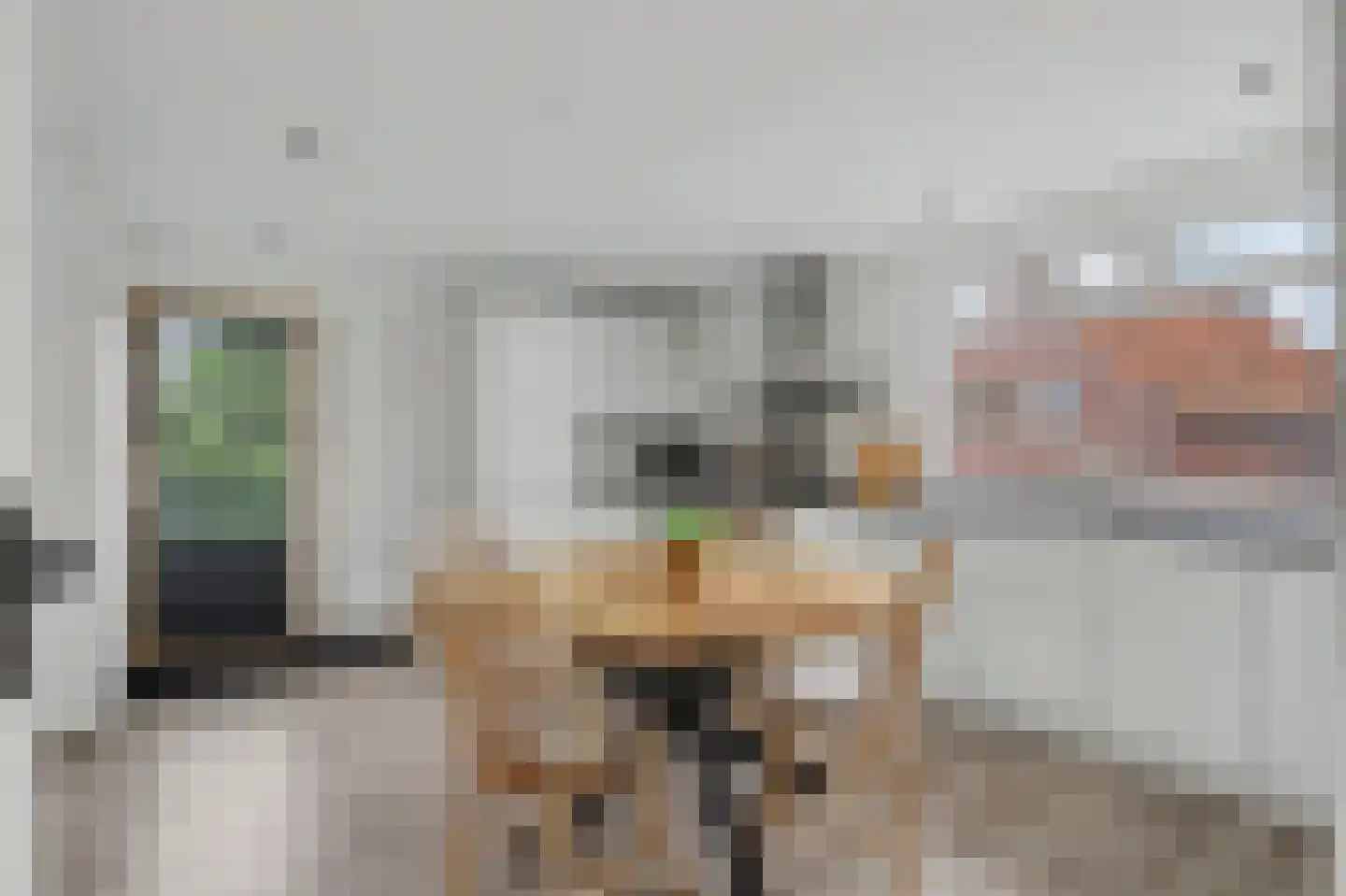 Spoorstraat 30 Hooge Zwaluwe thumbnail 9