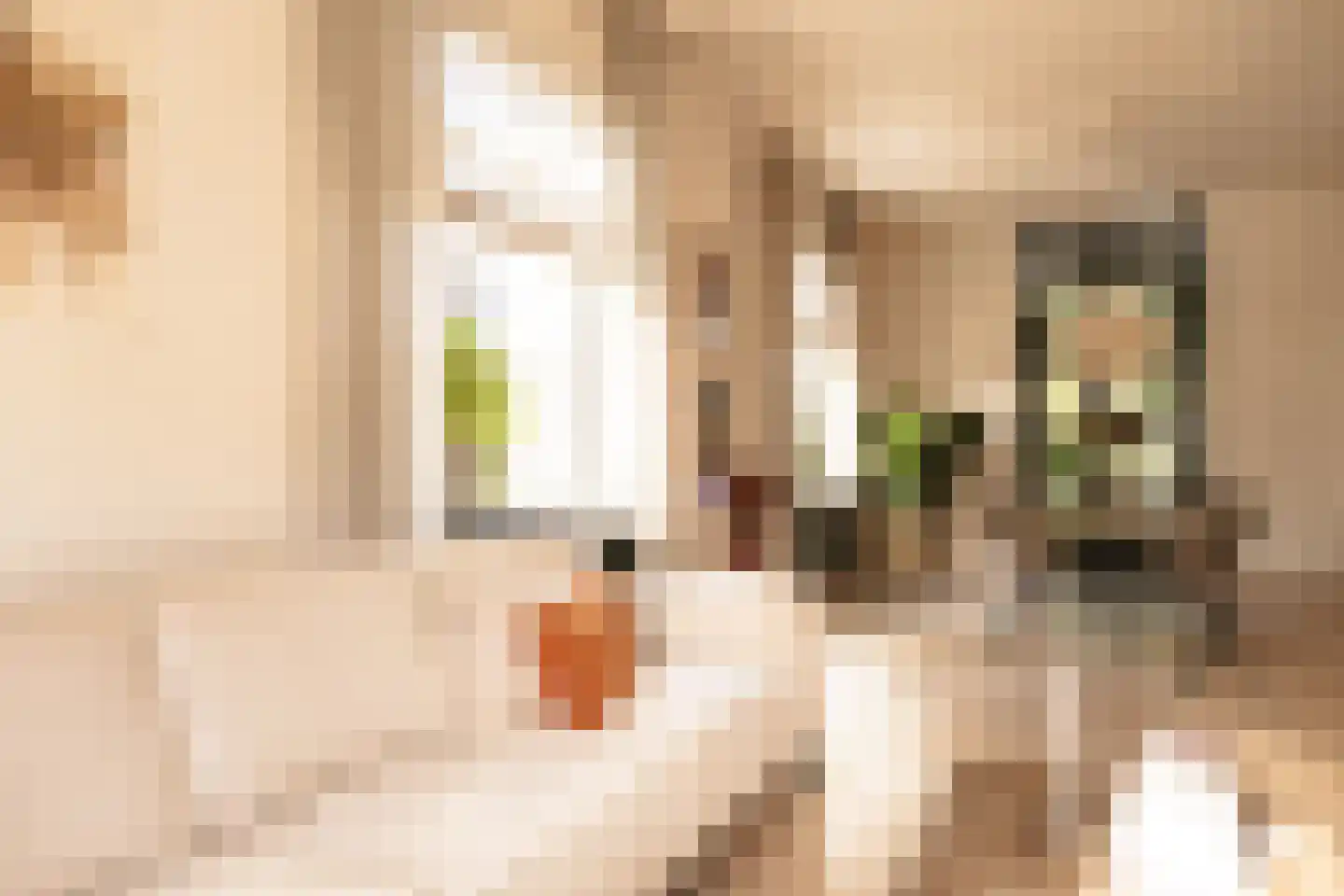 Spoorstraat 30 Nijkerk thumbnail 28