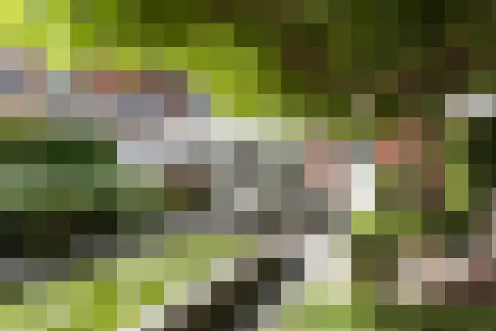 Spoorstraat 33 Oldenzaal thumbnail 37