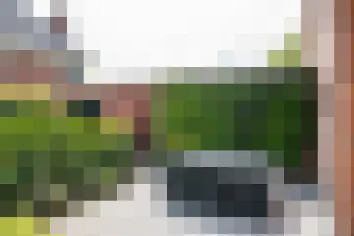 Spoorstraat 33 Varsseveld thumbnail 59