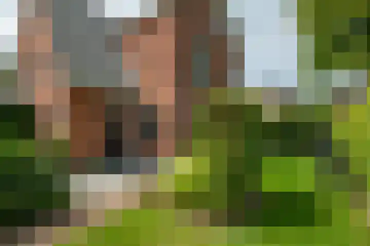 Spoorstraat 33 Varsseveld thumbnail 60