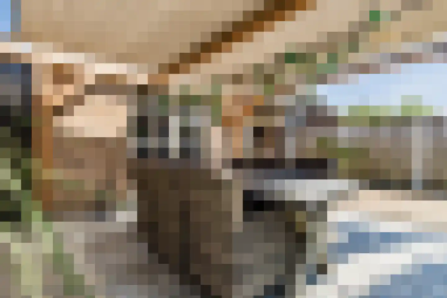 Spoorstraat 36 Ruurlo thumbnail 48